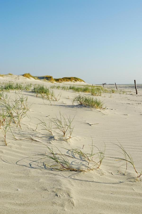 Apartmán Ferienhus #1 Nordfriesland Mildstedt Exteriér fotografie